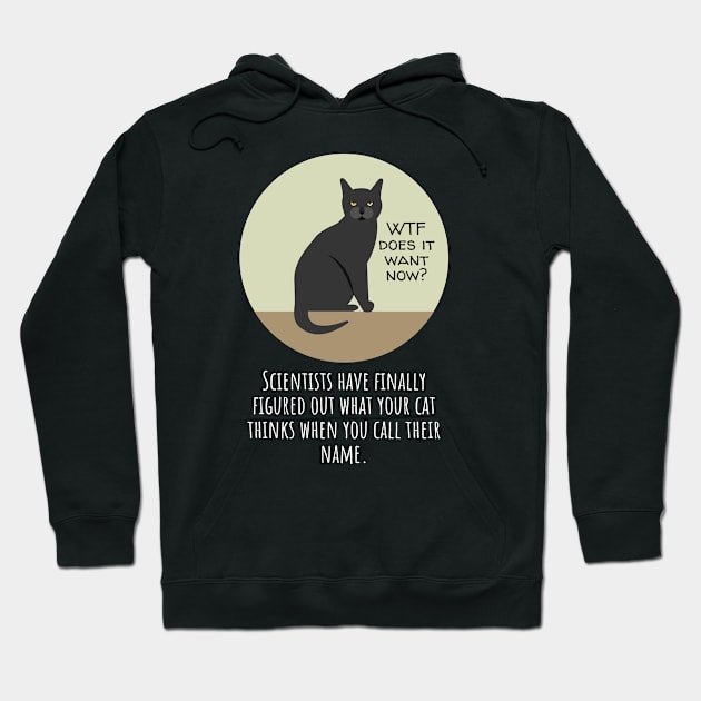 Why Does Your Cat Ignore You When You Call Their Name? Hoodie by Muzehack